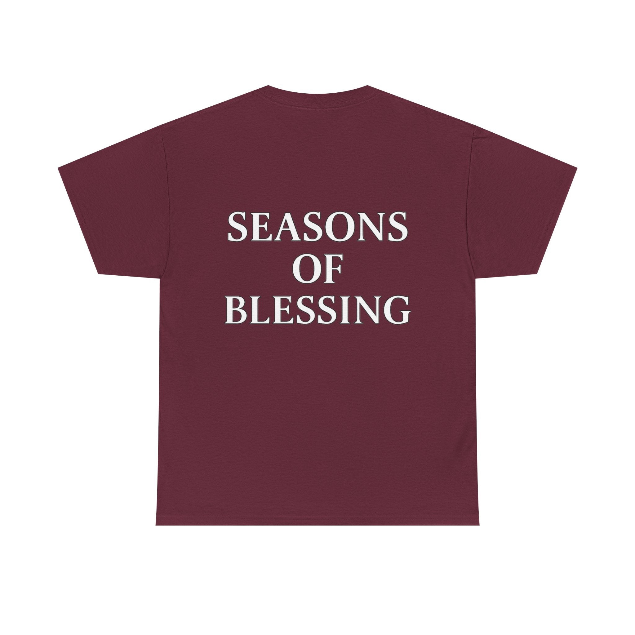 Seasons of Blessing T-Shirt — Inspirational Christian Faith Tee (Dark)